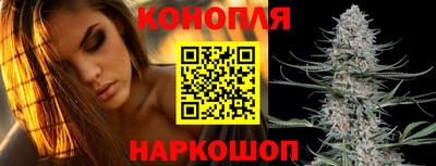 прущие грибы Жуковский