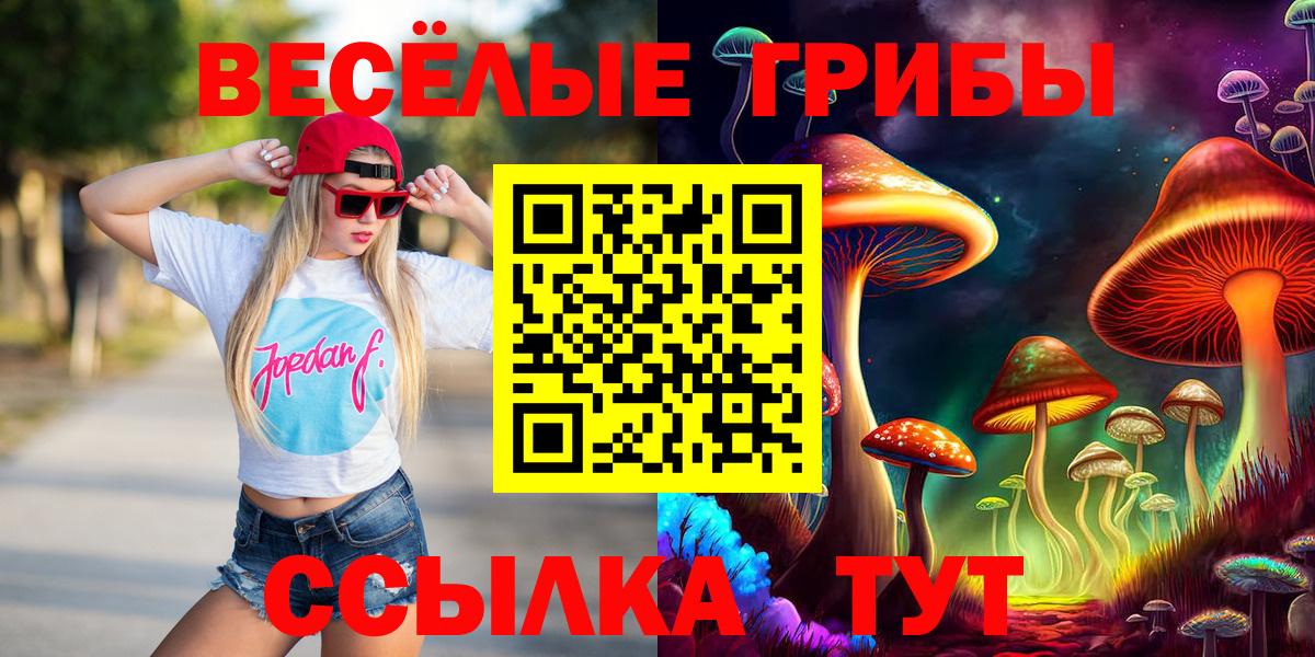 Галлюциногенные грибы Cubensis Свободный