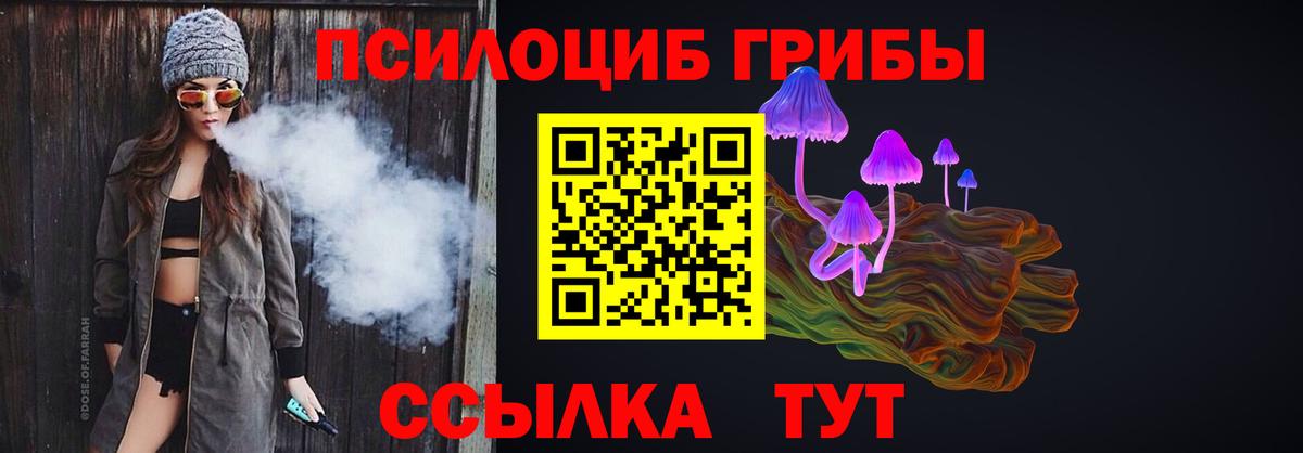 Свободный  Галлюциногенные грибы GOLDEN TEACHER  Вход с VPN 